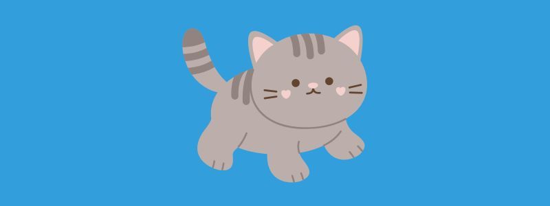 Adotta un gatto a distanza e scegli il suo nome