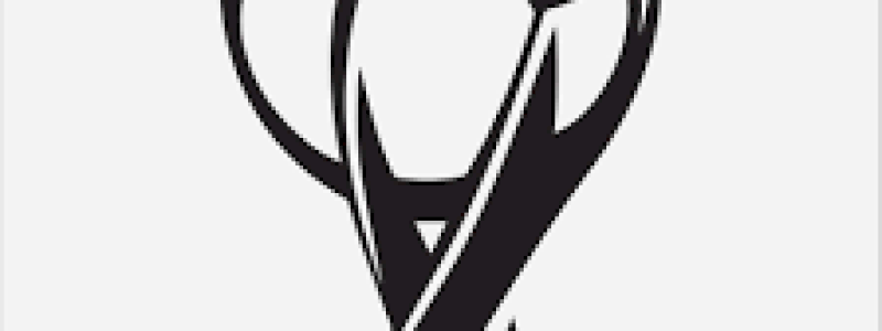 Pallone autografato Autogol