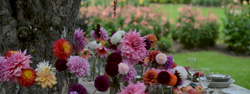 A pranzo insieme nel giardino