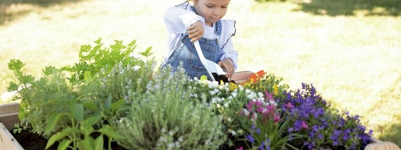 Regala una vasca per l'orto