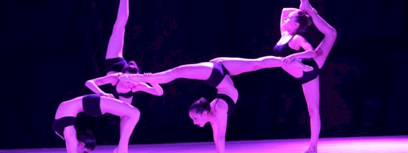 SPETTACOLO PRIVATO STELLE DANZANTI