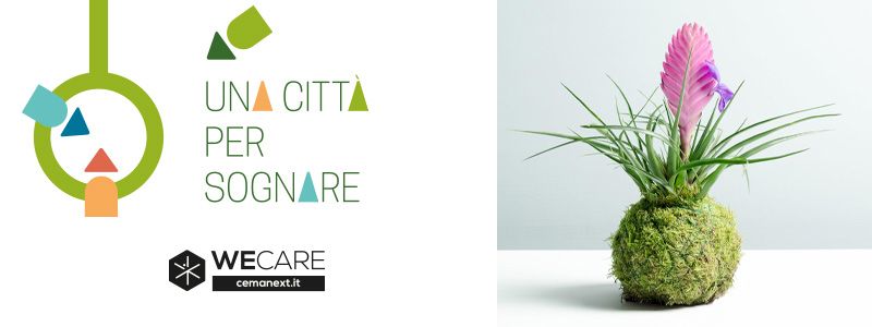 250 € – Prendersi cura