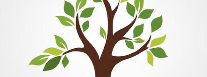 Un albero con il tuo nome