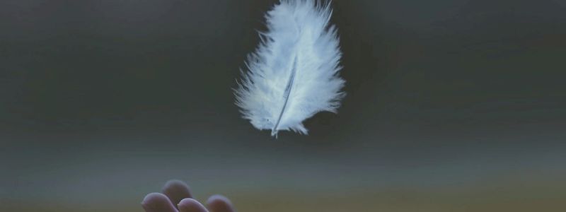Fai volare l' arte: basta una piuma !