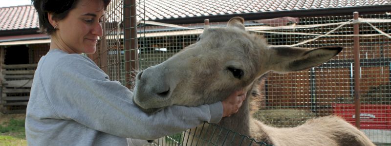 Ringraziamento dagli asini ed evento in Cascina