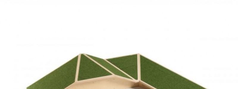 ADOTTA UN COCCODRILLO