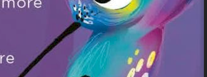 TARGA A FORMA DI COLIBRI'