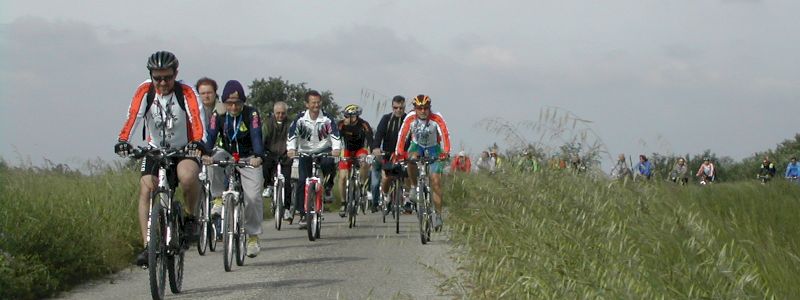 Escursione bici guidata Tebano-Bizzuno-Tebano