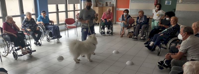 Conosci Patrick, Ice, Alaska e gli ospiti della RSA San Pietro!