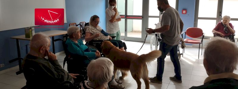 Vieni a conoscerci e assisti a un incontro di AAA!