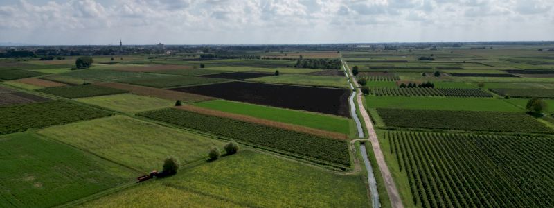 Esperienza guidata in gruppo sul territorio