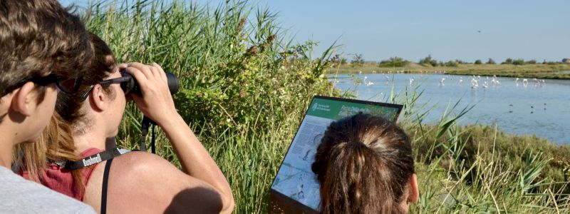 Team building aziendale fino a 10 persone