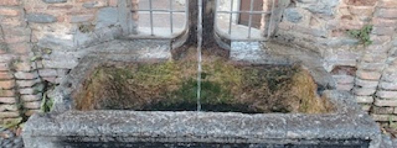 Una bottiglia di… acqua della fonte Gajum