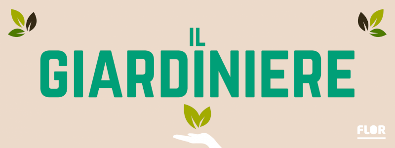 Il Giardiniere | contribuisci a piantare un nuovo albero in città.