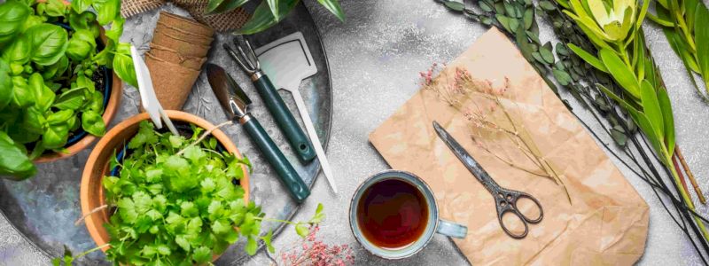 team building all'orto