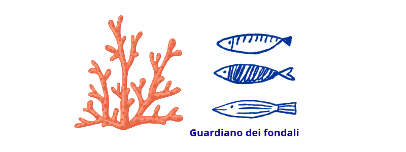 Guardiano dei fondali - Adotta un metro quadro di reef