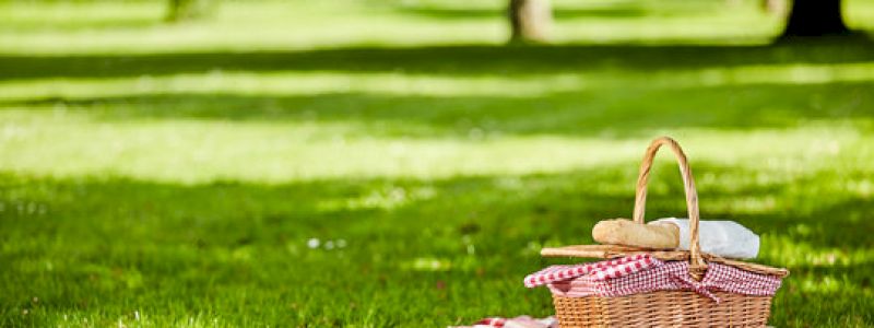 PIC NIC