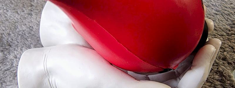 Immagine donatore al monumento