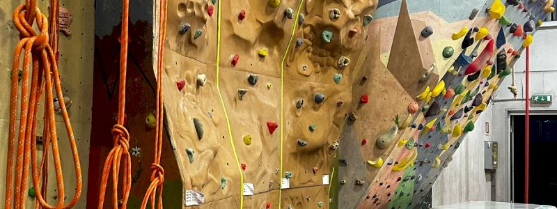 Un ingresso in Palestra