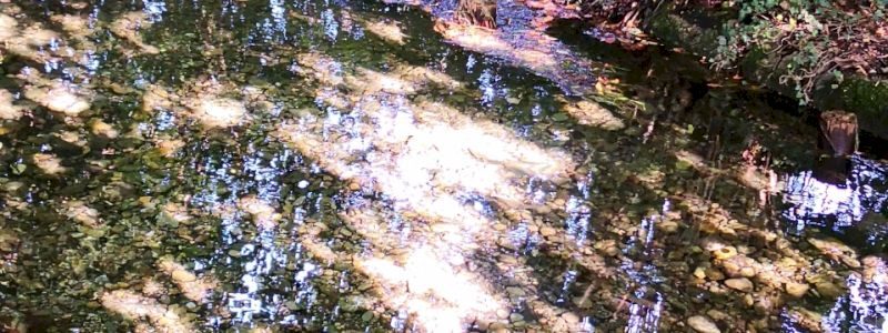 Alla scoperta delle sorgive