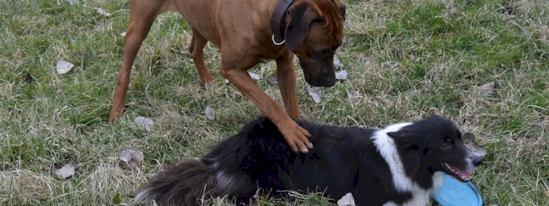 Grazie di cuore qualunque sia la tua donazione