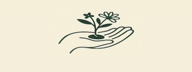 Un seme per il progetto