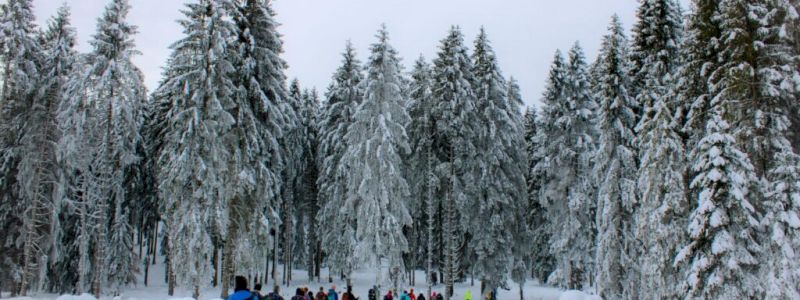 Cammina con noi. Sentirai il rumore dei passi... e dei cuori.