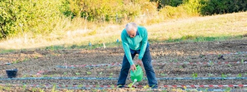 Un Giorno da Volontario Premium