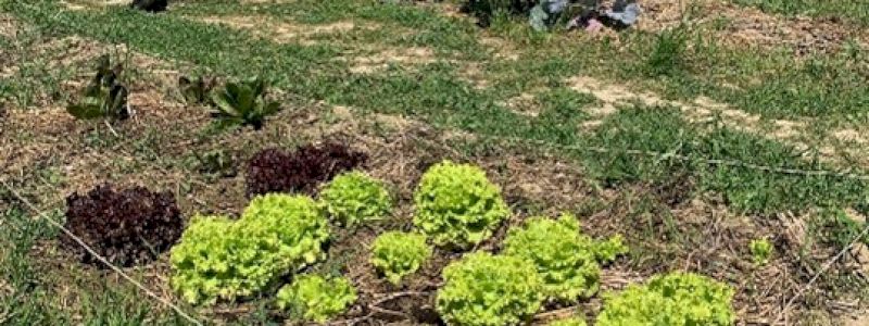 Visita Guidata Esclusiva