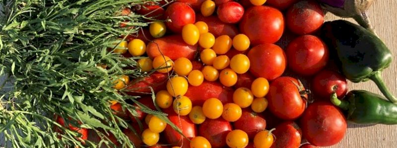 Il Cesto di Ringraziamento