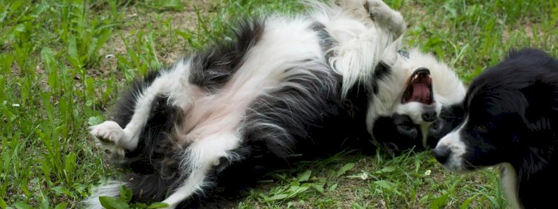 Video personalizzato e ringraziamenti social