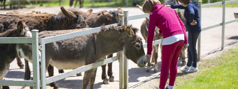 Un ringraziamento speciale