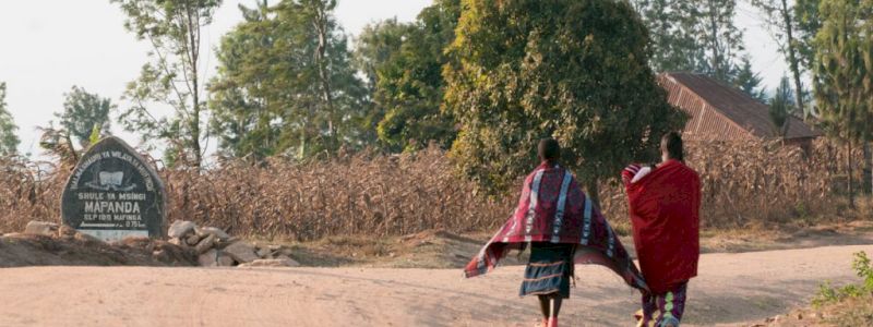 Un giorno dalla Tanzania Video dedicato