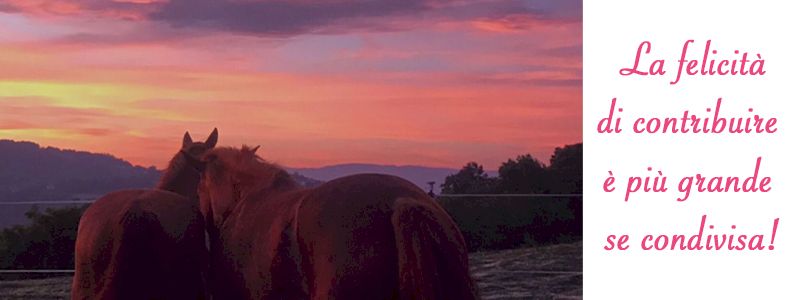 Mimì e Cocò i migliori amici della Commenda