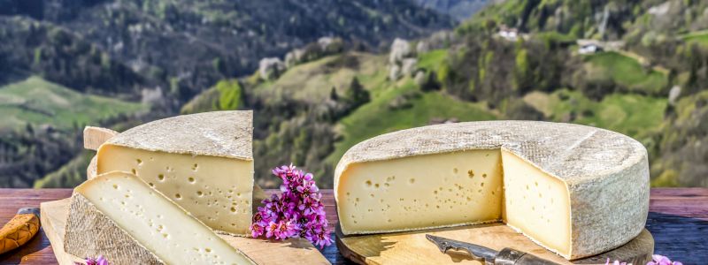 Degustazione del formaggio di miniera 