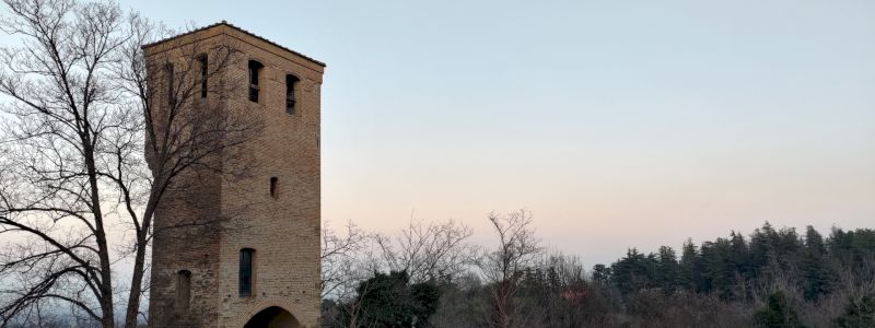 Calici in torre