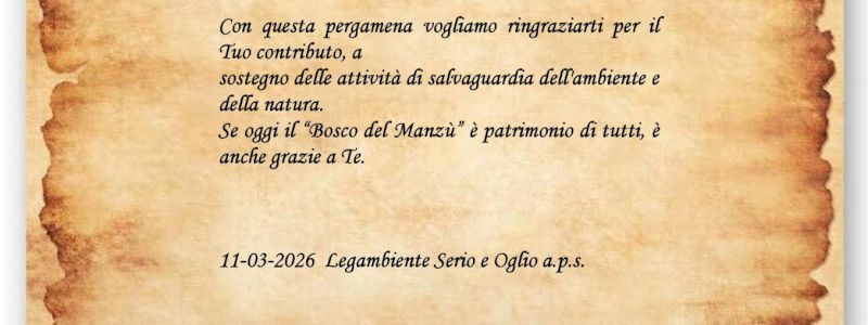 Certificato di ringraziamento personalizzato