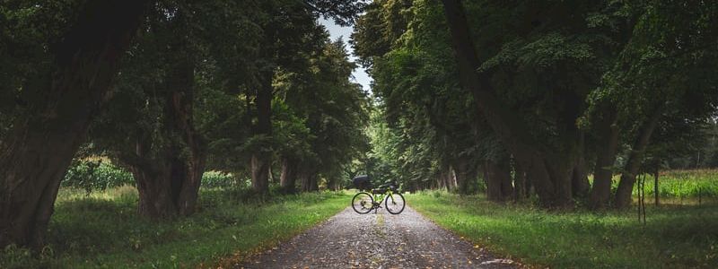 Corso Online - La mobilità sostenibile, innovazione e futuro