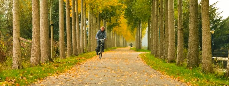 Formazione Online: l'ABC della Mobilità Sostenibile per TE & Formazione Sospesa per una CLASSE