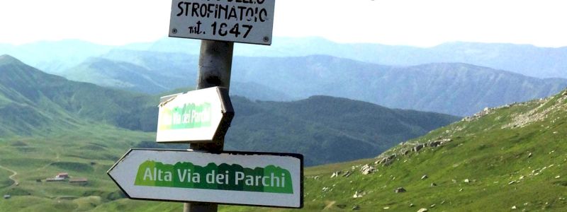 Una donazione all'altezza ..... del Sasseto