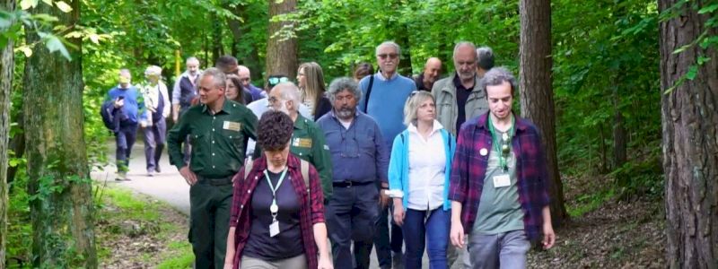 Camminata guidata con l'apicoltore