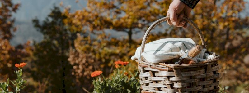 QUESTO PIC NIC NON ESISTE + SHOPPER La Val Borbera non esiste (x 2 persone)