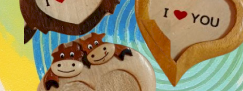 Calamita di speranza