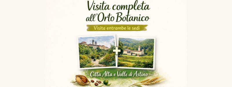 Visita guidata completa all'orto botanico