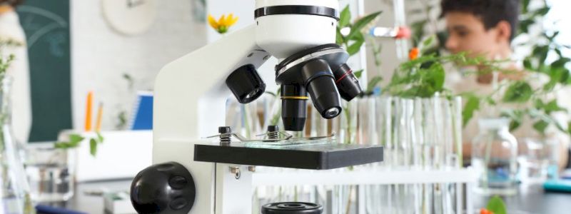 Delfino... studioso - Il mare a scuola