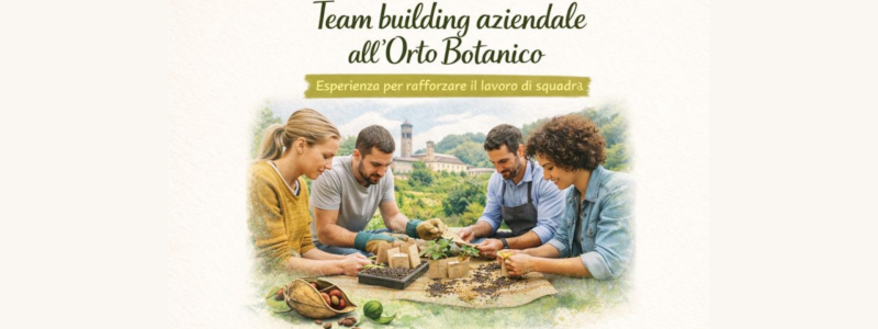 Team building aziendale all'orto botanico