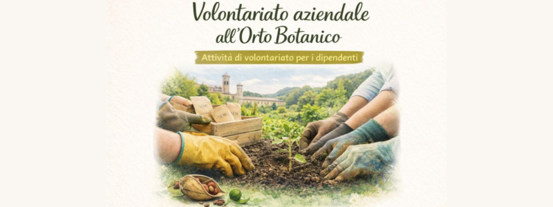 Volontariato aziendale all'orto botanico