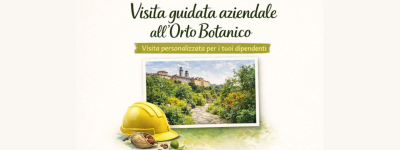 Visita guidata aziendale all'orto botanico