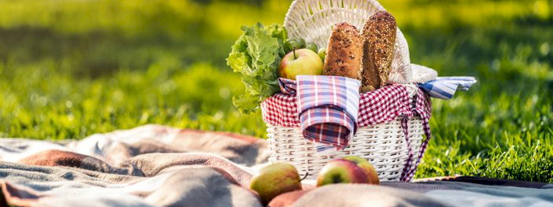 Picnic in fattoria per 4 persone