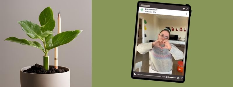 Uno speciale videomessaggio e una matita da piantare